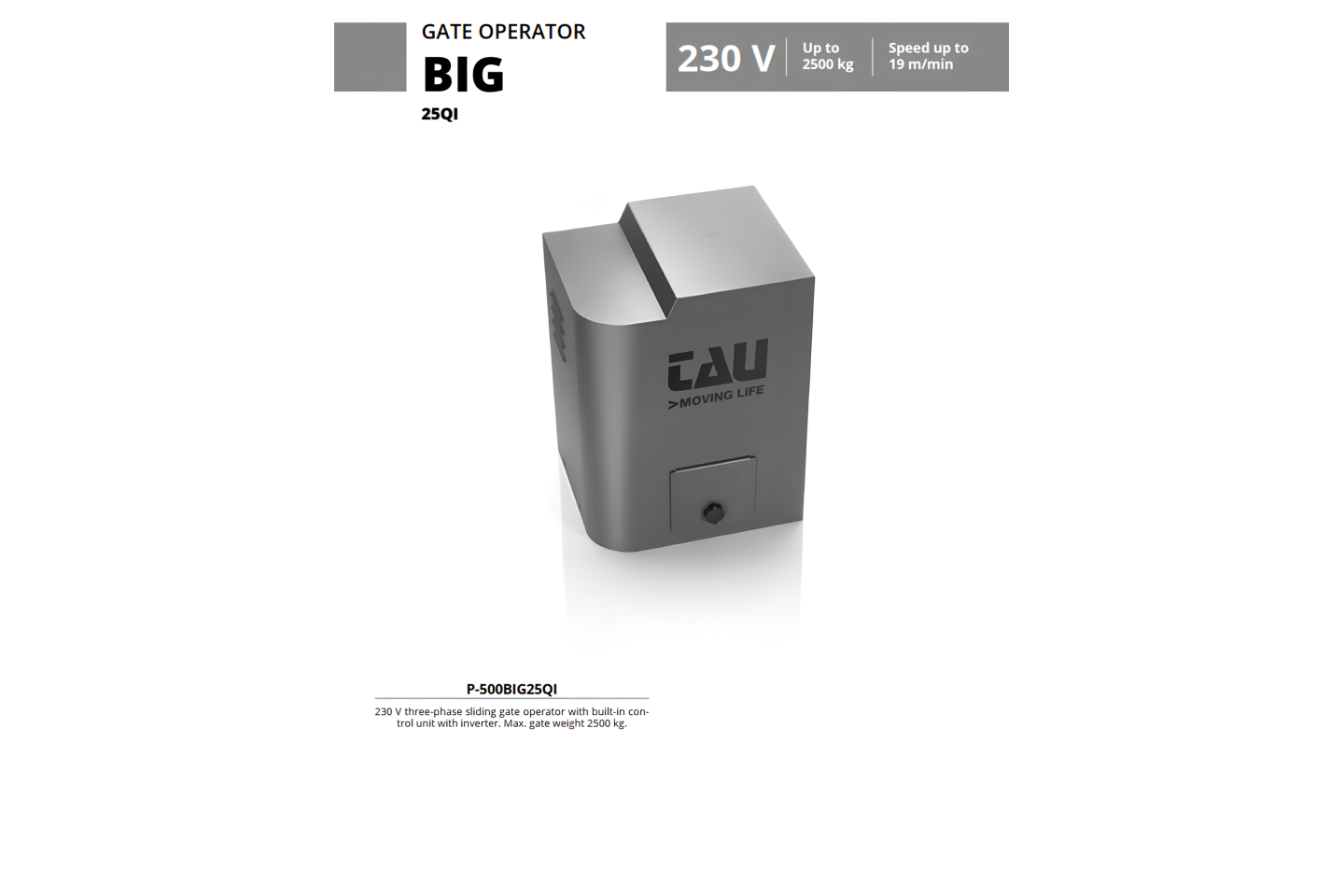 BIG_25QI_2500kg_MOTOR